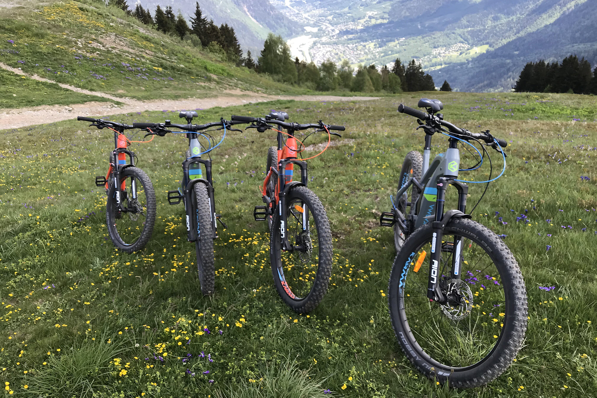 Four electric bikes on a mountain in the Alps - rent-ebike-online.com